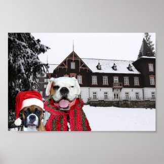 Póster poster de Boxers navidades