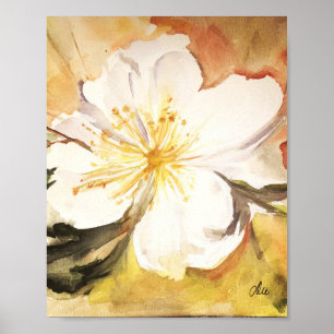 Póster Poster de brillo de lienzo dulce Magnolia Premium