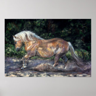 Póster Poster de brisa nocturna