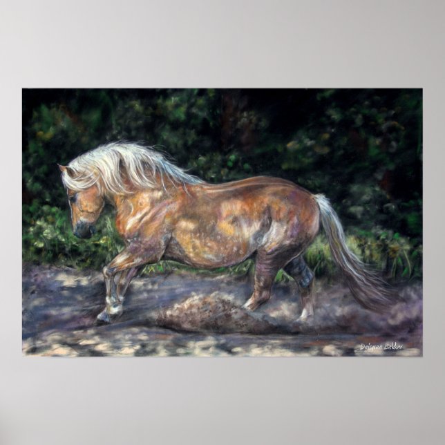 Póster Poster de brisa nocturna (Frente)