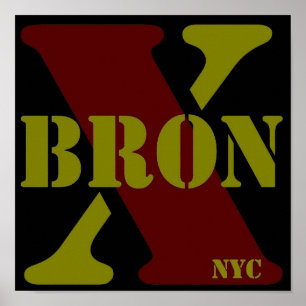 Póster Poster de BronX NYC