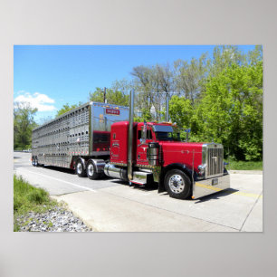 Póster Poster de Brown Transport 379