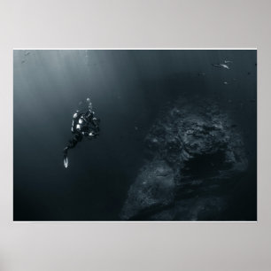 Póster Poster de buceo de fotógrafos