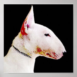 Póster Poster de bull terrier en inglés