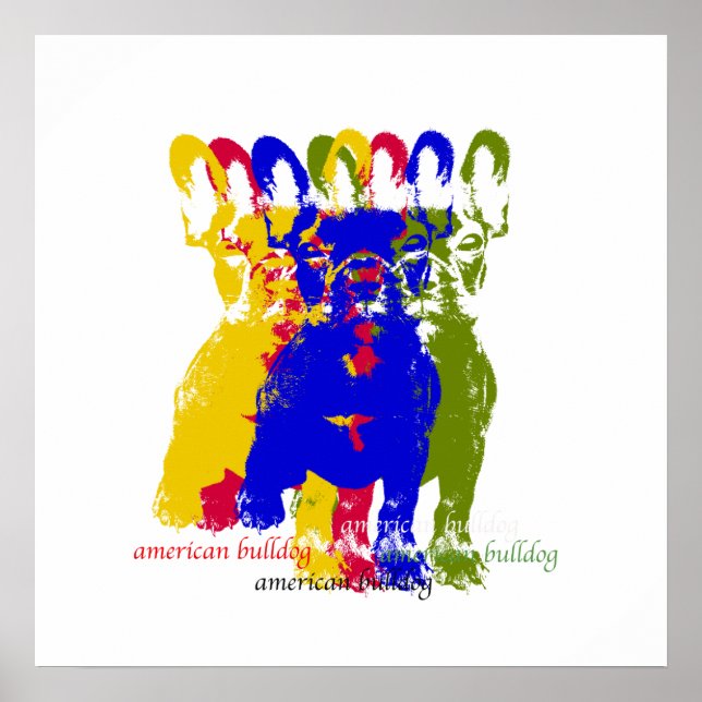Póster Poster de bulldog de Estados Unidos (Frente)