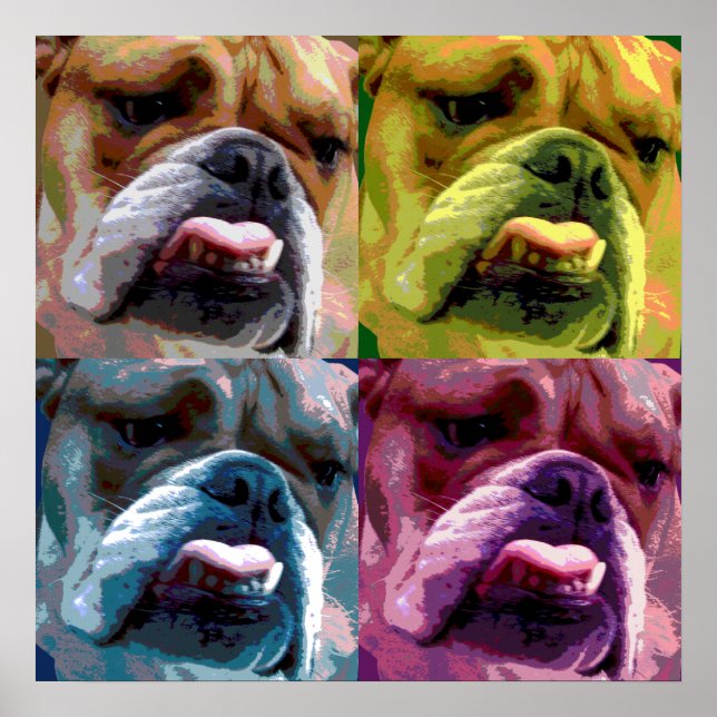 Póster Poster de bulldog en inglés (Frente)
