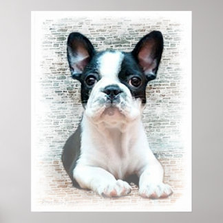 Póster Poster de bulldog francés