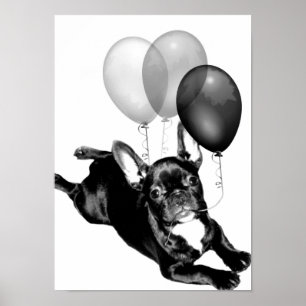 Póster Poster de Bulldog francés de cumpleaños