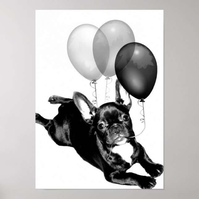 Póster Poster de Bulldog francés de cumpleaños (Frente)