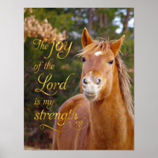 Póster Poster de Caballo de Castaño Sonriente en Biblia V