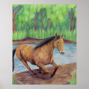 Póster Poster de caballos