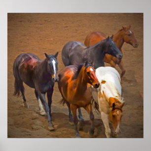 Póster Poster de caballos