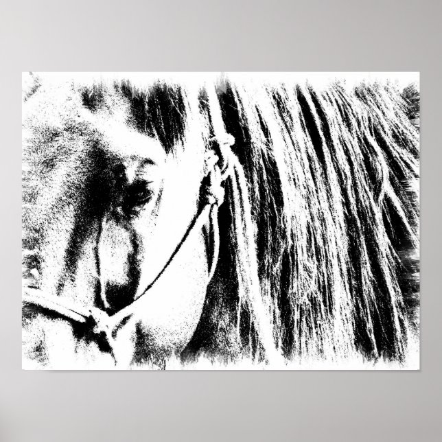 Póster Poster de caballos - Blanco y negro (Frente)