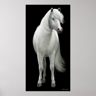 Póster Poster de Caballos Blancos Salvajes