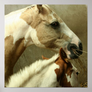 Póster Poster de caballos de aventura gris