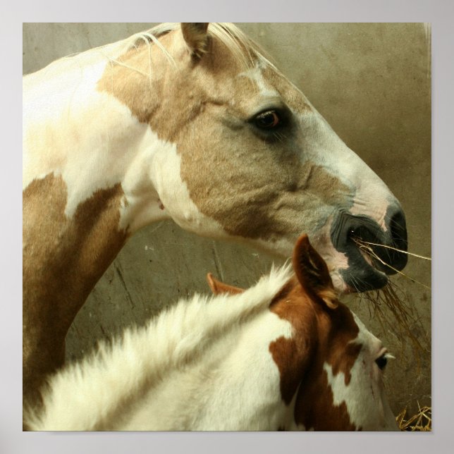 Póster Poster de caballos de aventura gris (Frente)