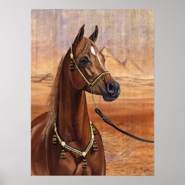 Póster Poster de caballos de la Princesa Egipcia Arabian  (Frente)
