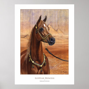 Póster Poster de caballos de la Princesa Egipcia Arabian
