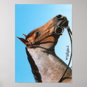 Póster Poster de caballos del barrio occidental