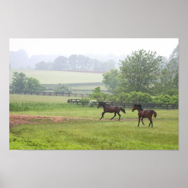Póster Poster de caballos estándar de Galloping (Frente)