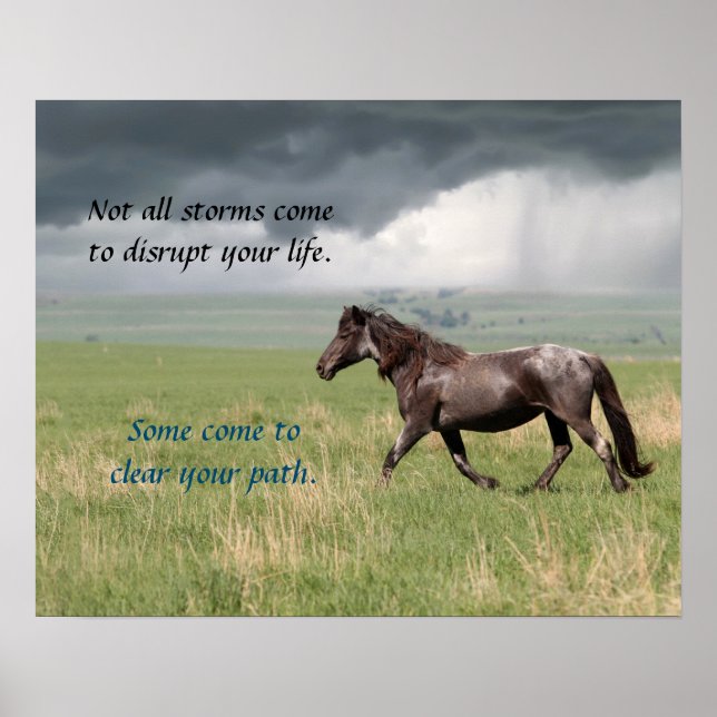 Póster Poster de caballos Motivational Wild Mustang (Frente)