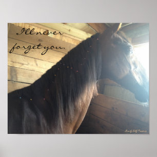 Póster Poster de caballos: "Nunca te olvidaré".
