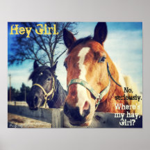 Poster de caballos: "Oye Chica".