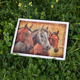 Póster Poster de caballos para papel de desacoplamiento o