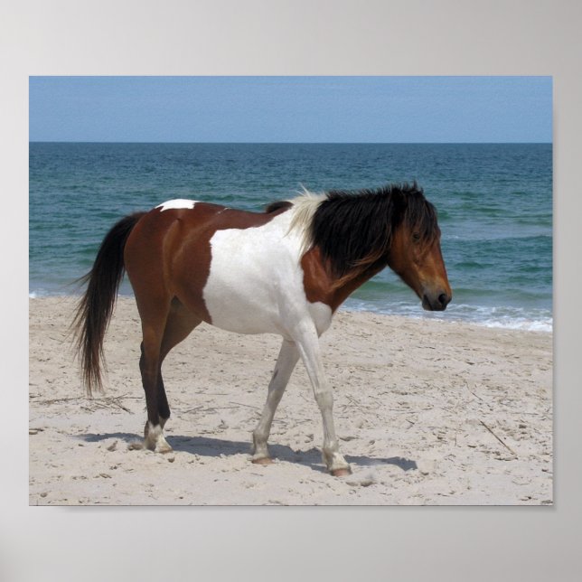 Póster Poster de Caballos Salvajes (Frente)