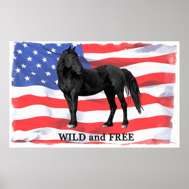 Póster Poster de Caballos Salvajes y Libres Estadounidens (Frente)