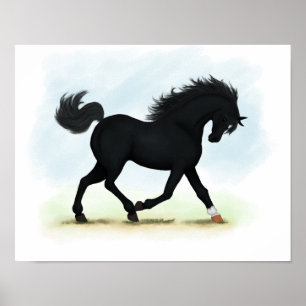 Póster Poster de caballos trotting de Belleza Negra (Star