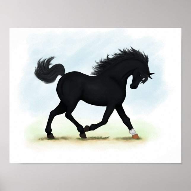 Póster Poster de caballos trotting de Belleza Negra (Star (Frente)