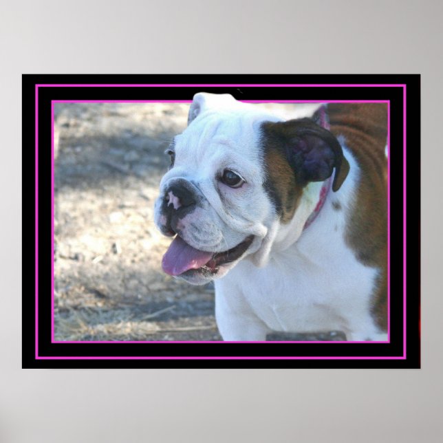 Póster poster de cachorros de bulldog (Frente)