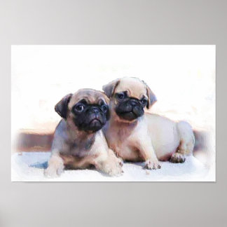 Póster Poster de cachorros de pug