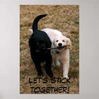 Poster de cachorros en blanco y negro
