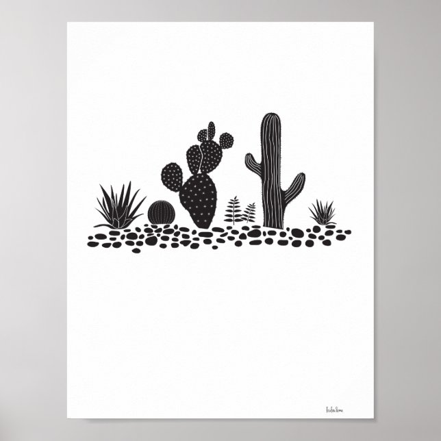 Póster Poster de Cactus y Sucultores en Blanco y Negro (Frente)