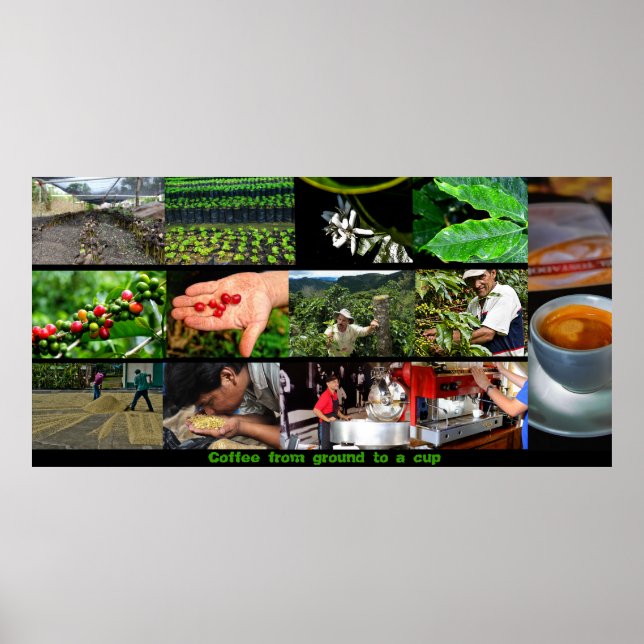 Póster Poster de café (Frente)