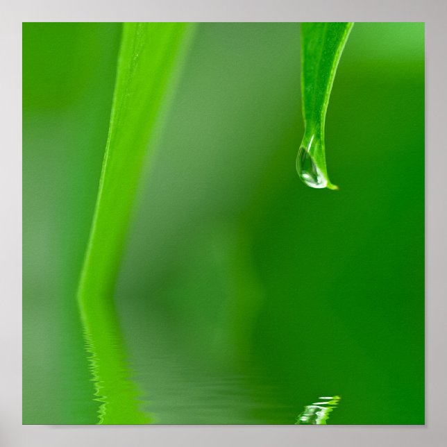 Póster Poster de caída de agua (Frente)