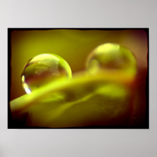 Póster Poster de caídas de agua