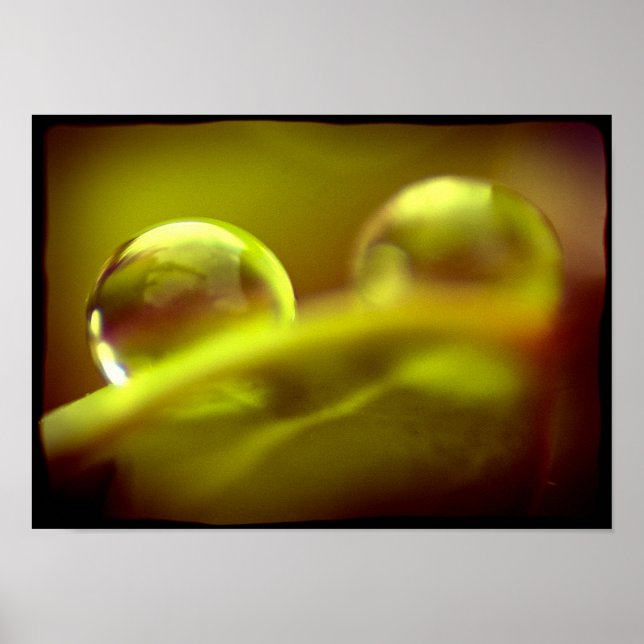 Póster Poster de caídas de agua (Frente)