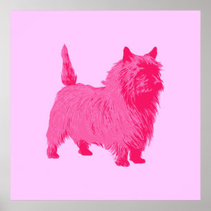 Póster Poster de Cairn Terrier Rosado