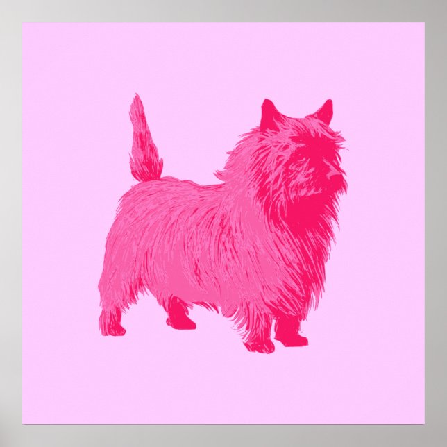 Póster Poster de Cairn Terrier Rosado (Frente)