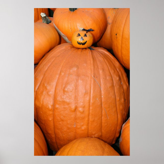 Póster Poster de calabaza (Frente)