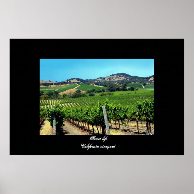 Póster poster de "California vineyard" (Frente)