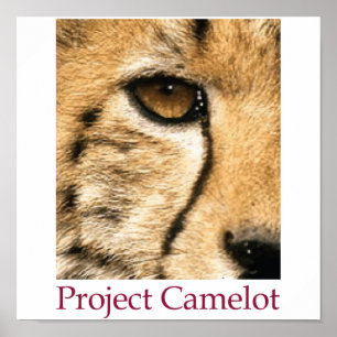 Póster Poster de Camelot del proyecto