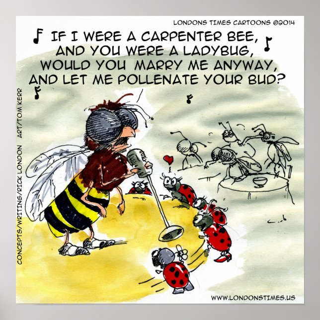 Póster Poster de cantante de discoteca divertida Insect (Frente)