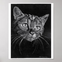 Poster de cara de gato de dibujo de mano