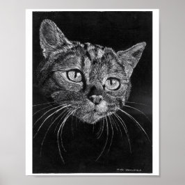 Póster Poster de cara de gato de dibujo de mano