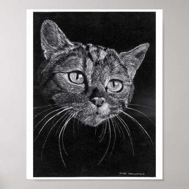 Póster Poster de cara de gato de dibujo de mano (Frente)