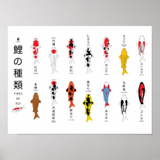 Póster Poster de carpa antigua, pintado a mano